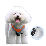 Pet Collars, Harnesses & Accessories